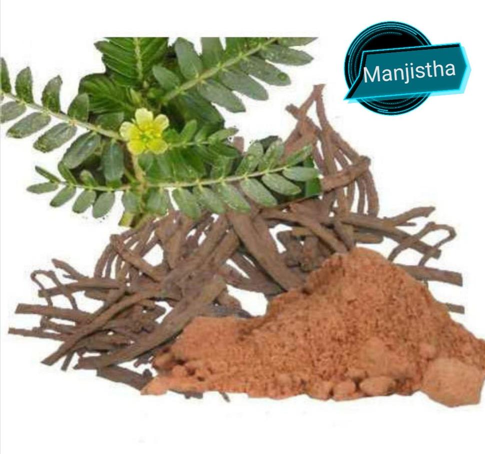 Manjistha
