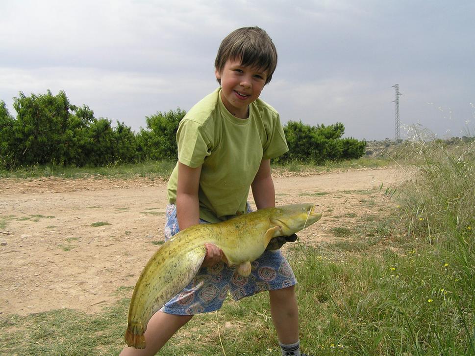 Obrázok blogu