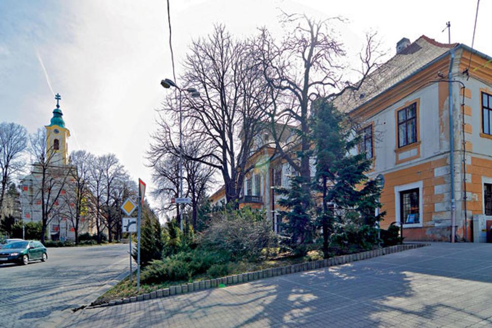 Obrázok blogu