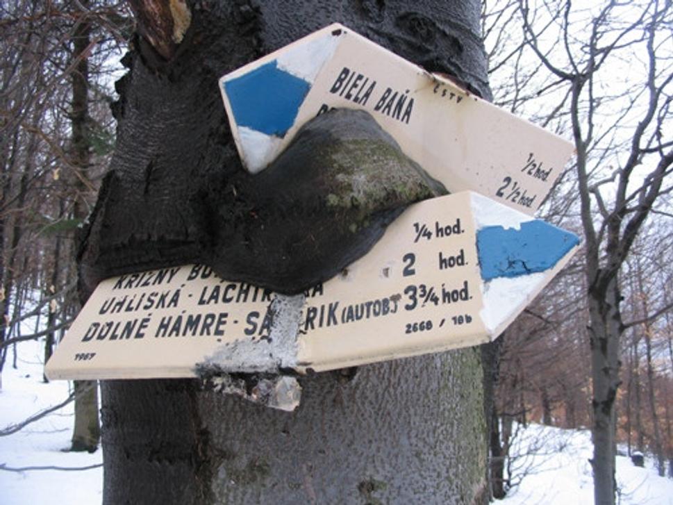 Obrázok blogu