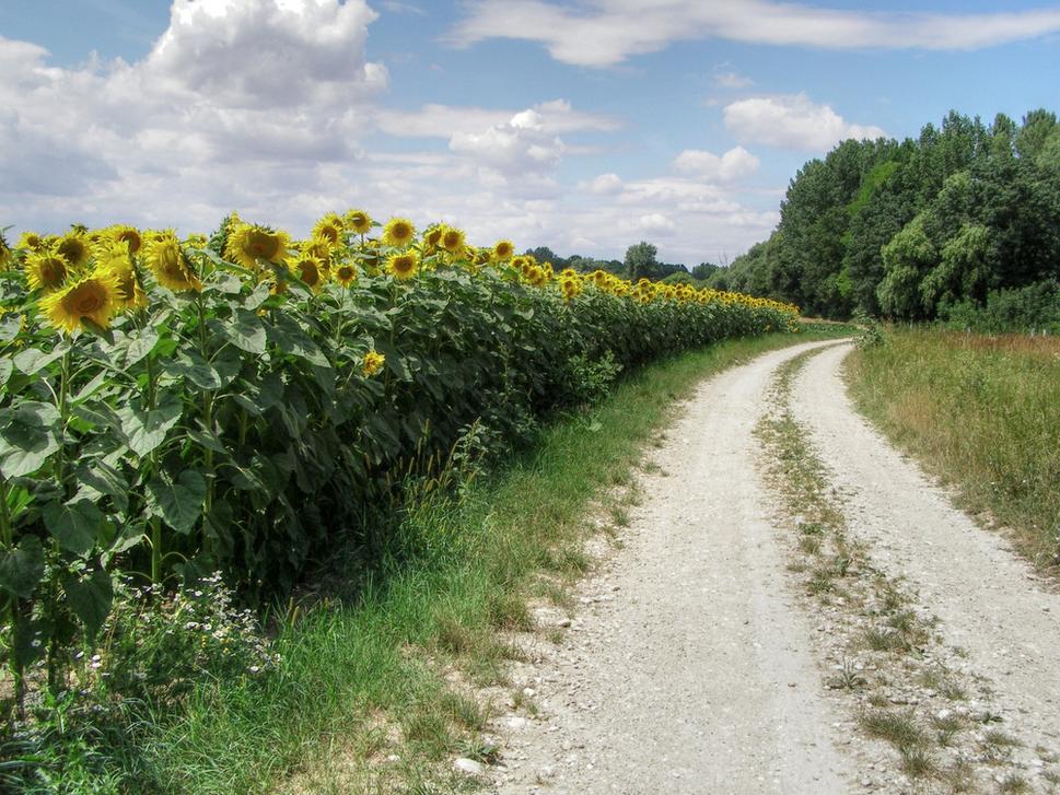 Obrázok blogu