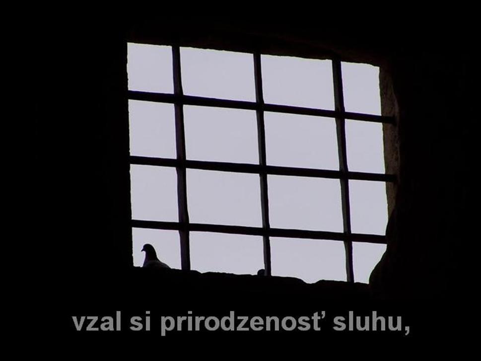 Obrázok blogu