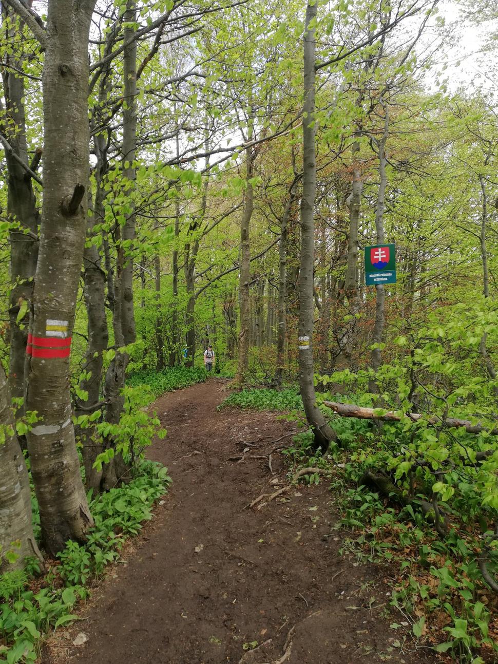 Obrázok blogu