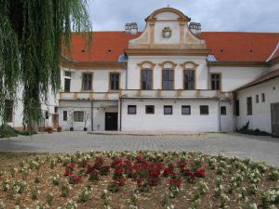 Najvzácnejšou historickou pamiatkou je kaštieľ rodiny Migazziovcov.