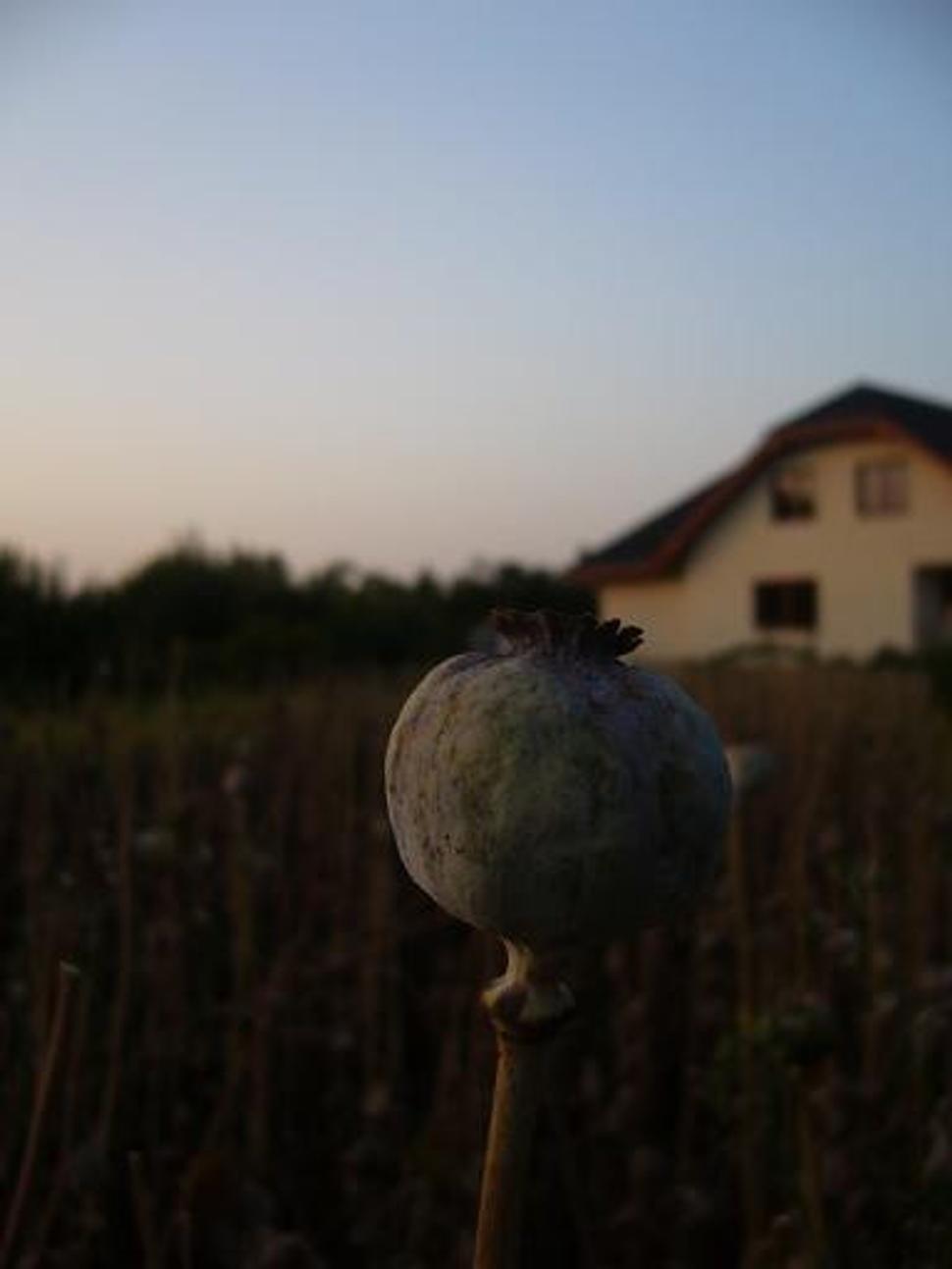 Obrázok blogu