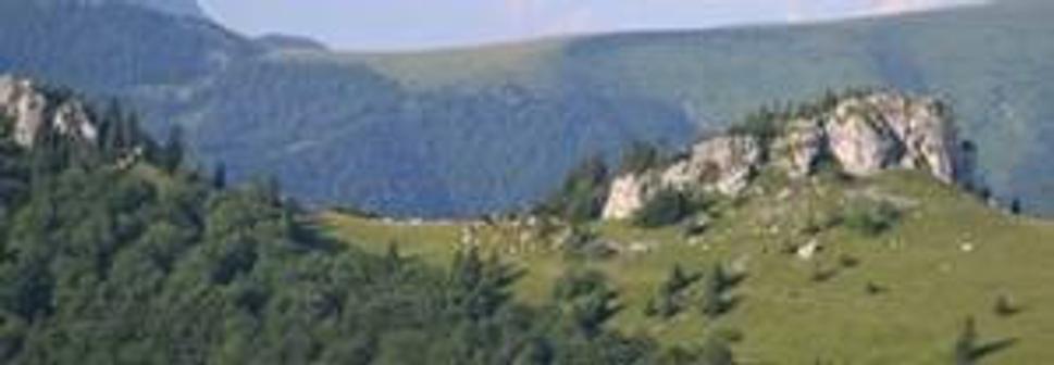Slovensko