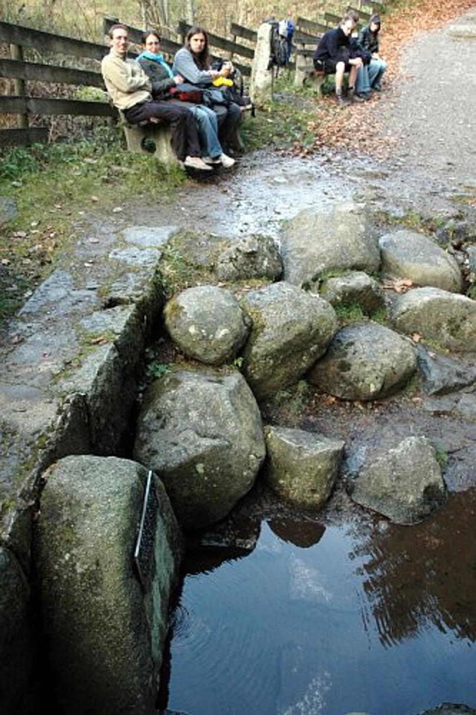 Obrázok blogu