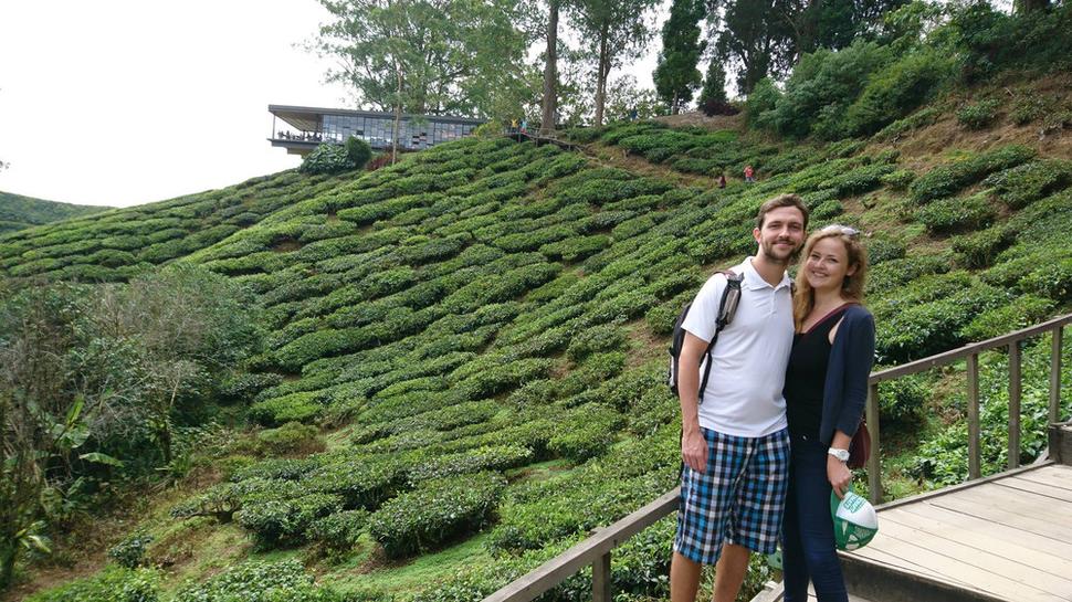 Čajová plantáž v Cameron Highlands