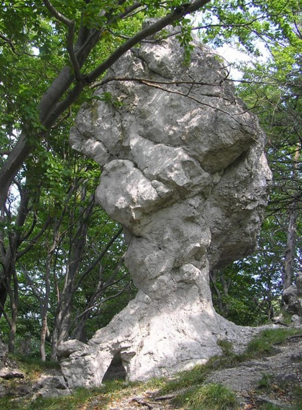 Obrázok blogu