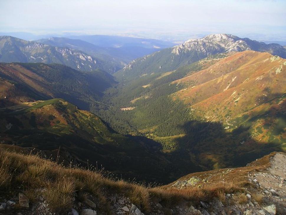 Dolina Starobocianska (Polsko)