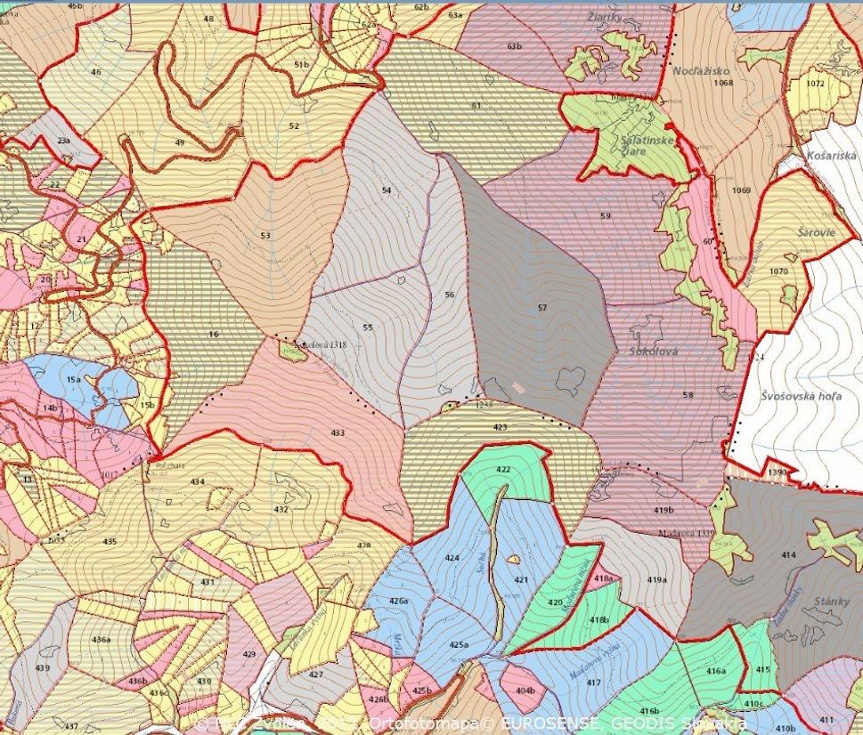 Obr. 6 Hrubá červená čiara, ohraničujúca rozľahlé porasty v centre mapy je hranicou ochranného lesa.