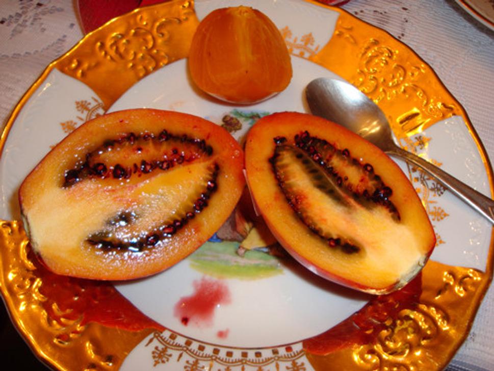 Tamarilo