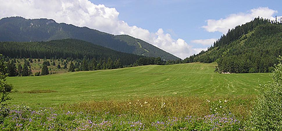 Obrázok blogu