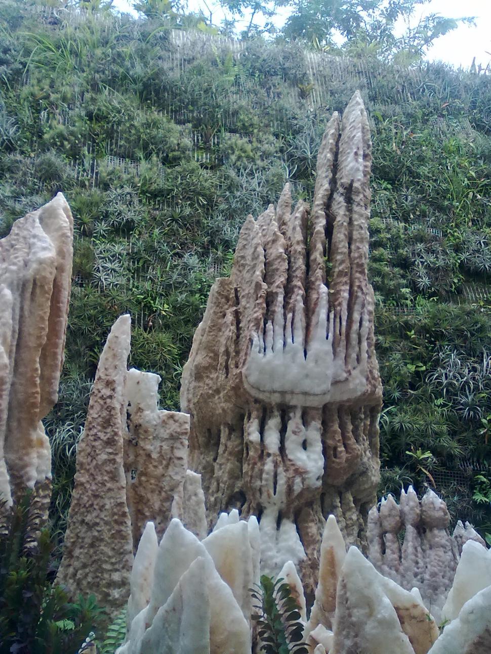 Pokochajte sa