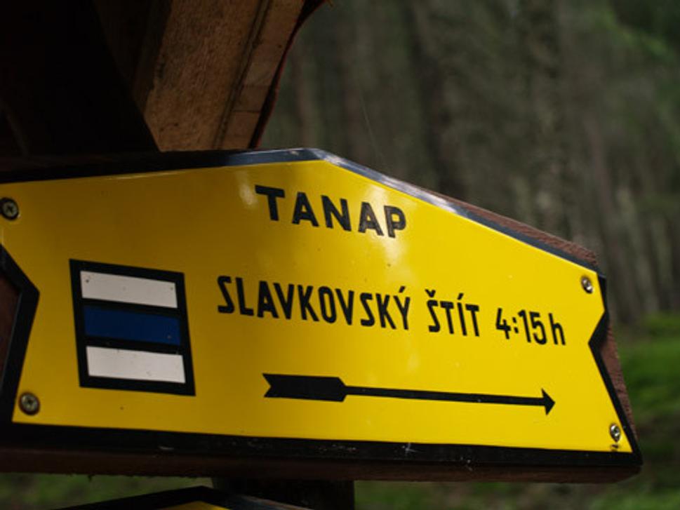 Obrázok blogu
