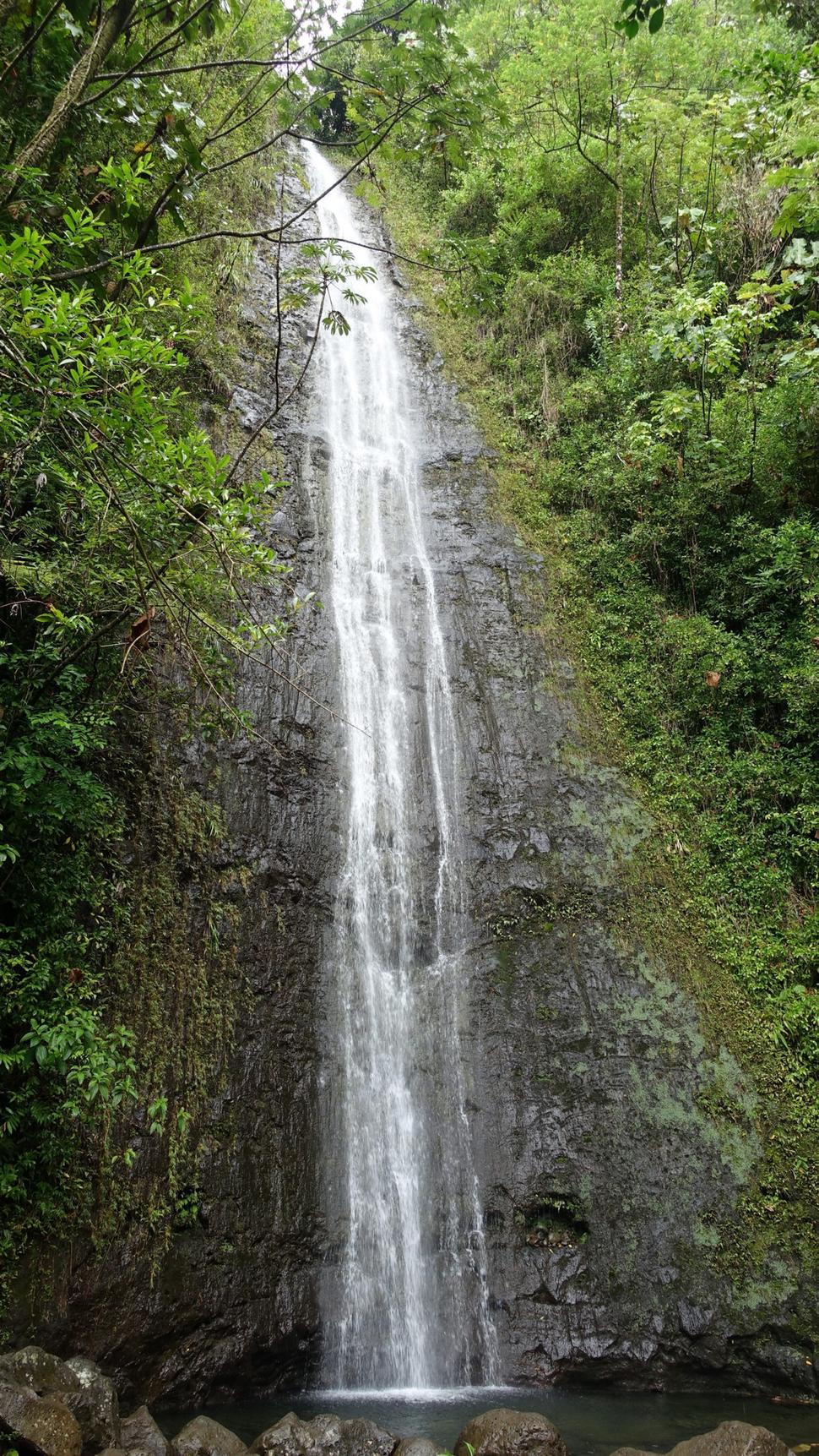 Vodopád Manoa Falls vysoký 46 metrov. Autor: Ľubor Šešera, licencia: CC BY-SA 4.0.
