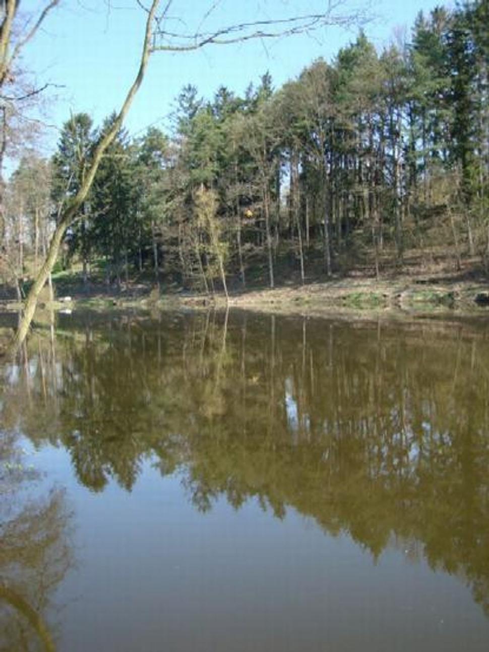 Obrázok blogu