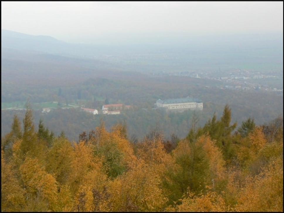 Obrázok blogu
