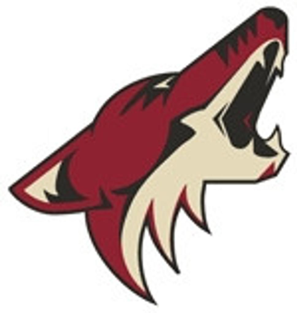 Phoenix Coyotes