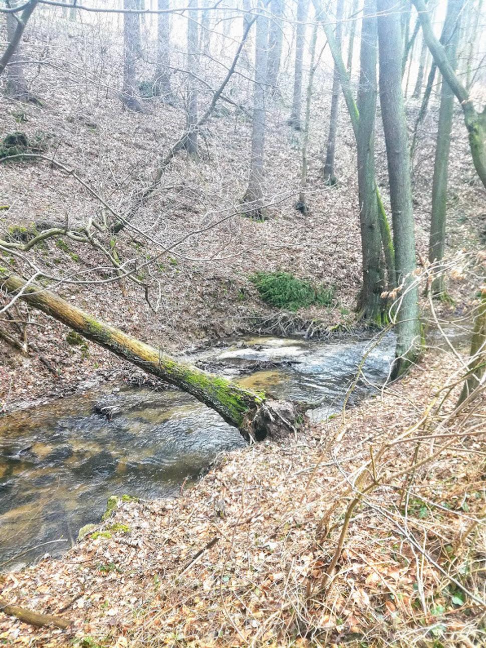 Obrázok blogu