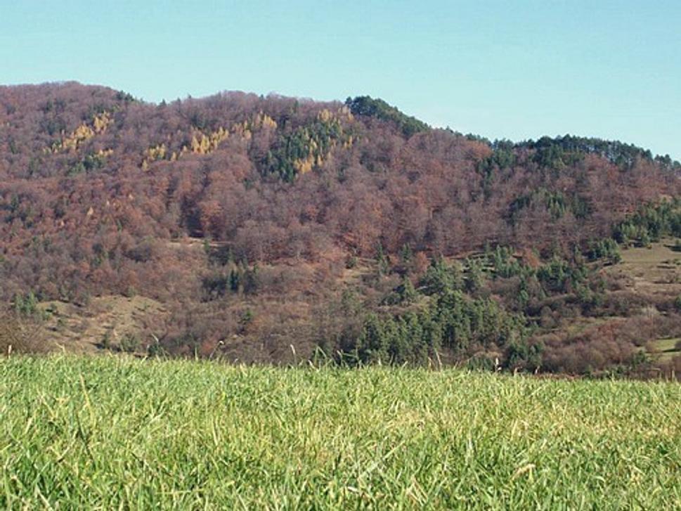 Obrázok blogu