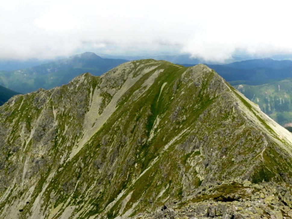 Obrázok blogu
