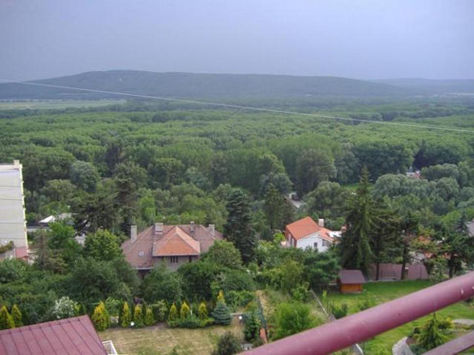 Obrázok blogu