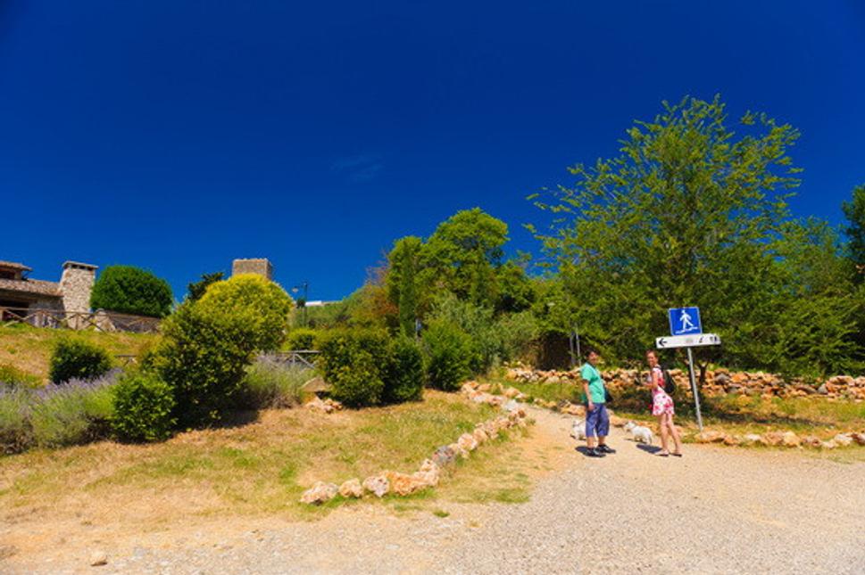 Monteriggioni