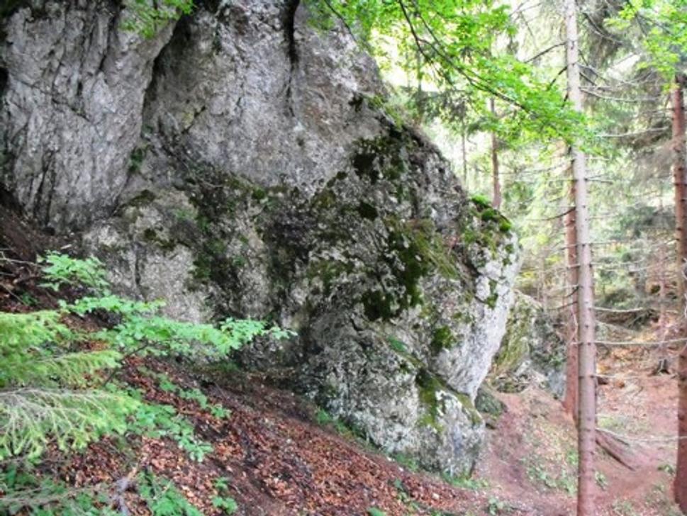 Obrázok blogu