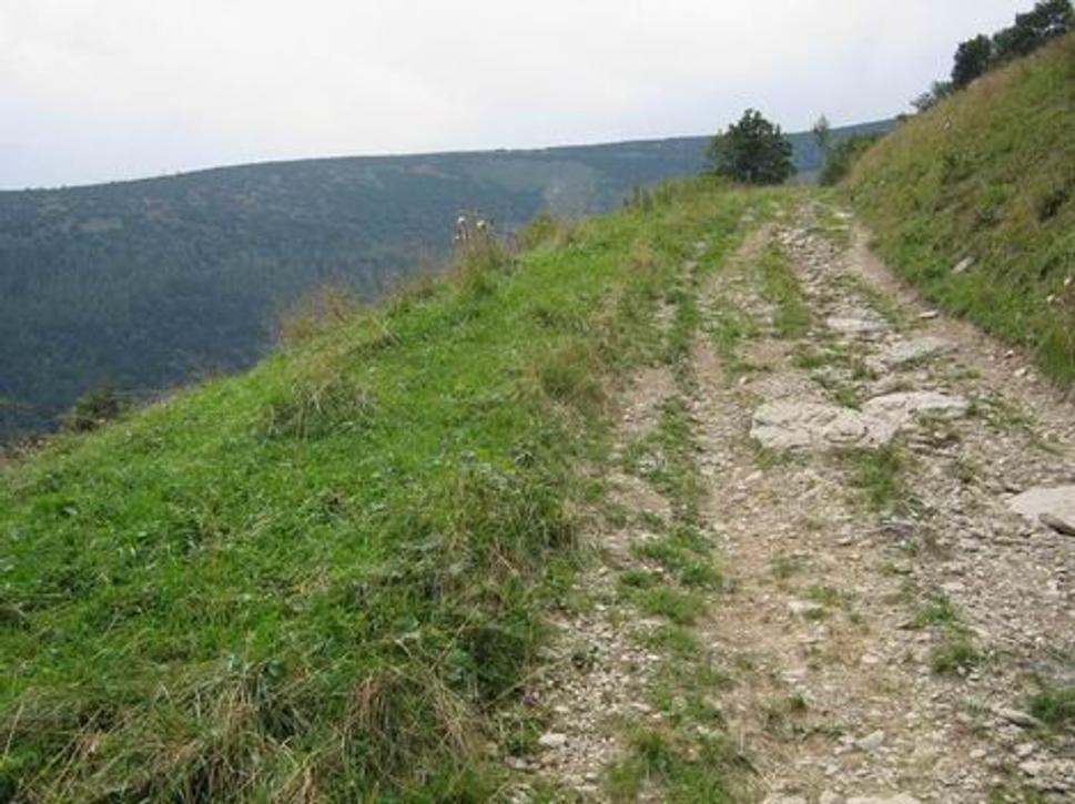 Obrázok blogu