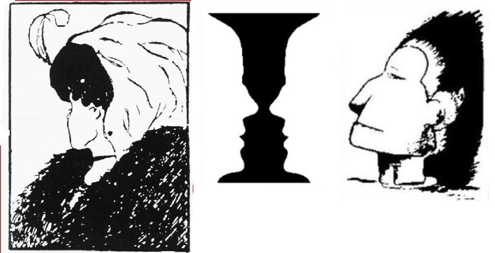 Gestalt psychológia