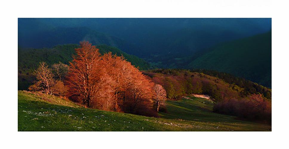 zostup do Tureckej