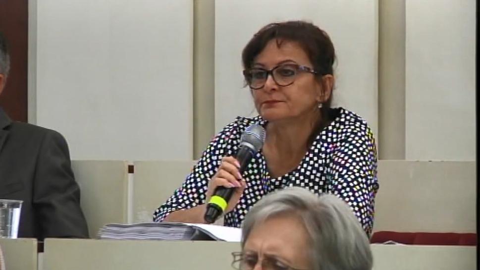 Iveta Palečková, hlavná kontrolórka
