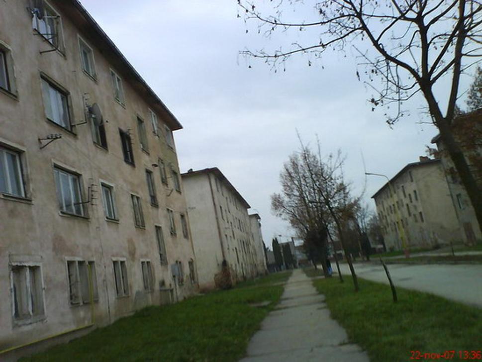 Obrázok blogu