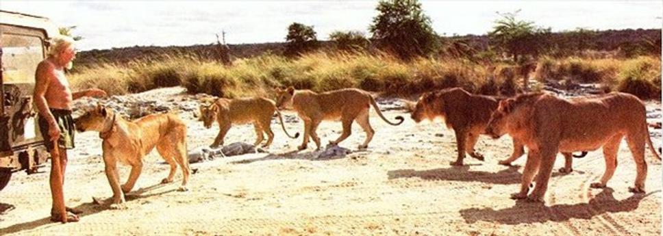 Neuveriteľné - Baba ya simba so svojimi najlepšími priateľmi
