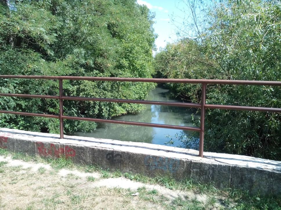 posledný 250 m úsek Mlynského ramena, ktorý sa zachránil dodnes