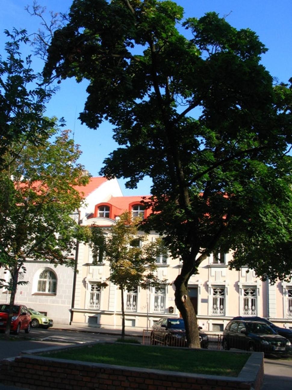 Obrázok blogu