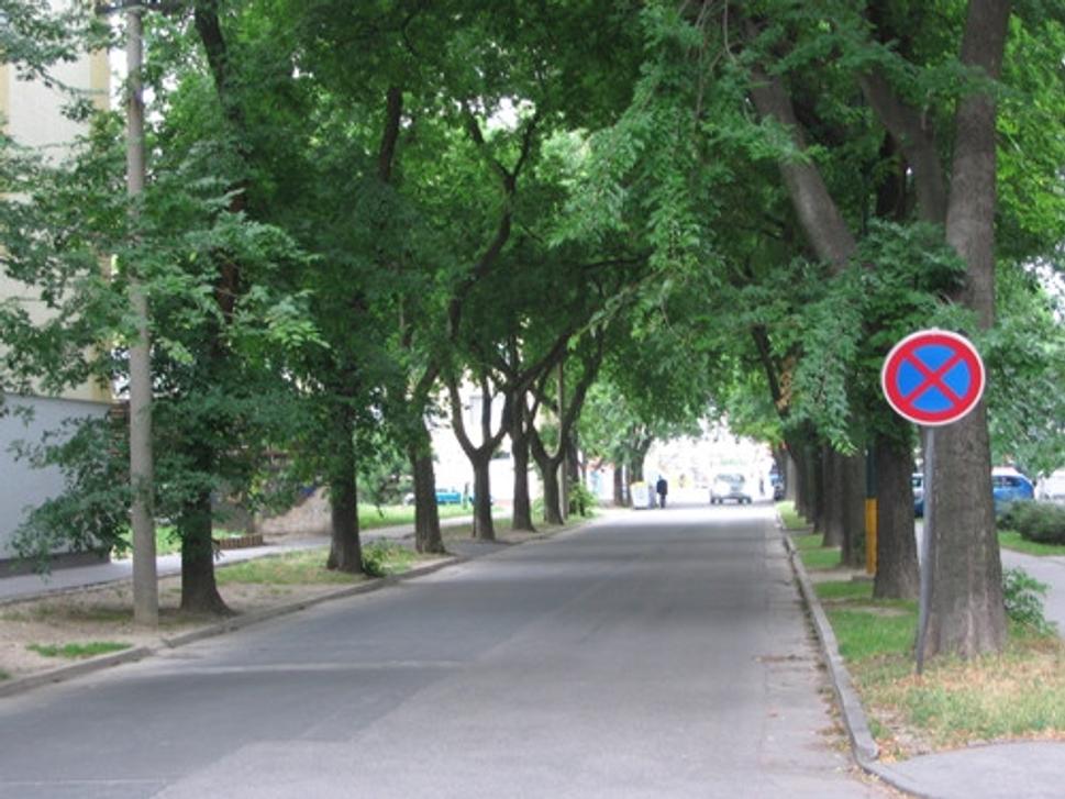 Obrázok blogu