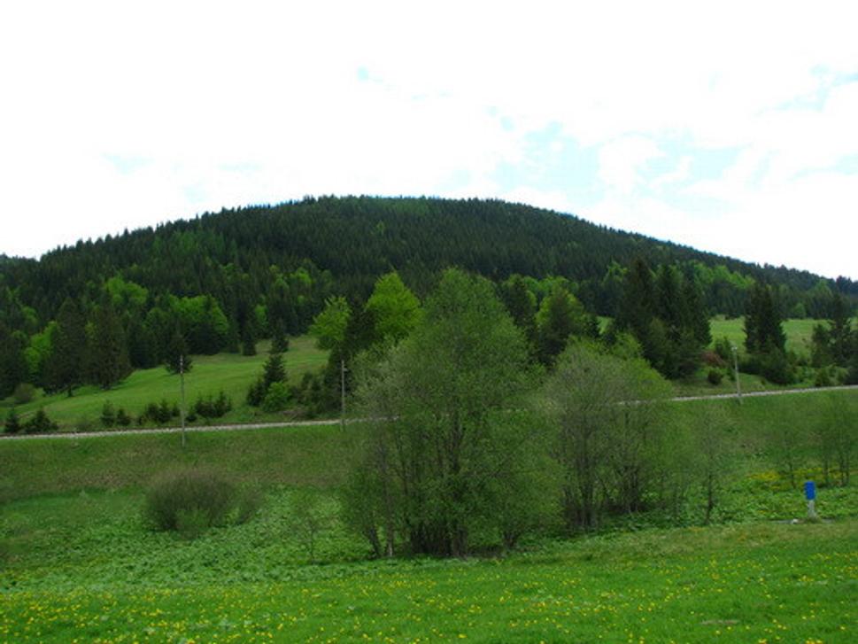 Obrázok blogu