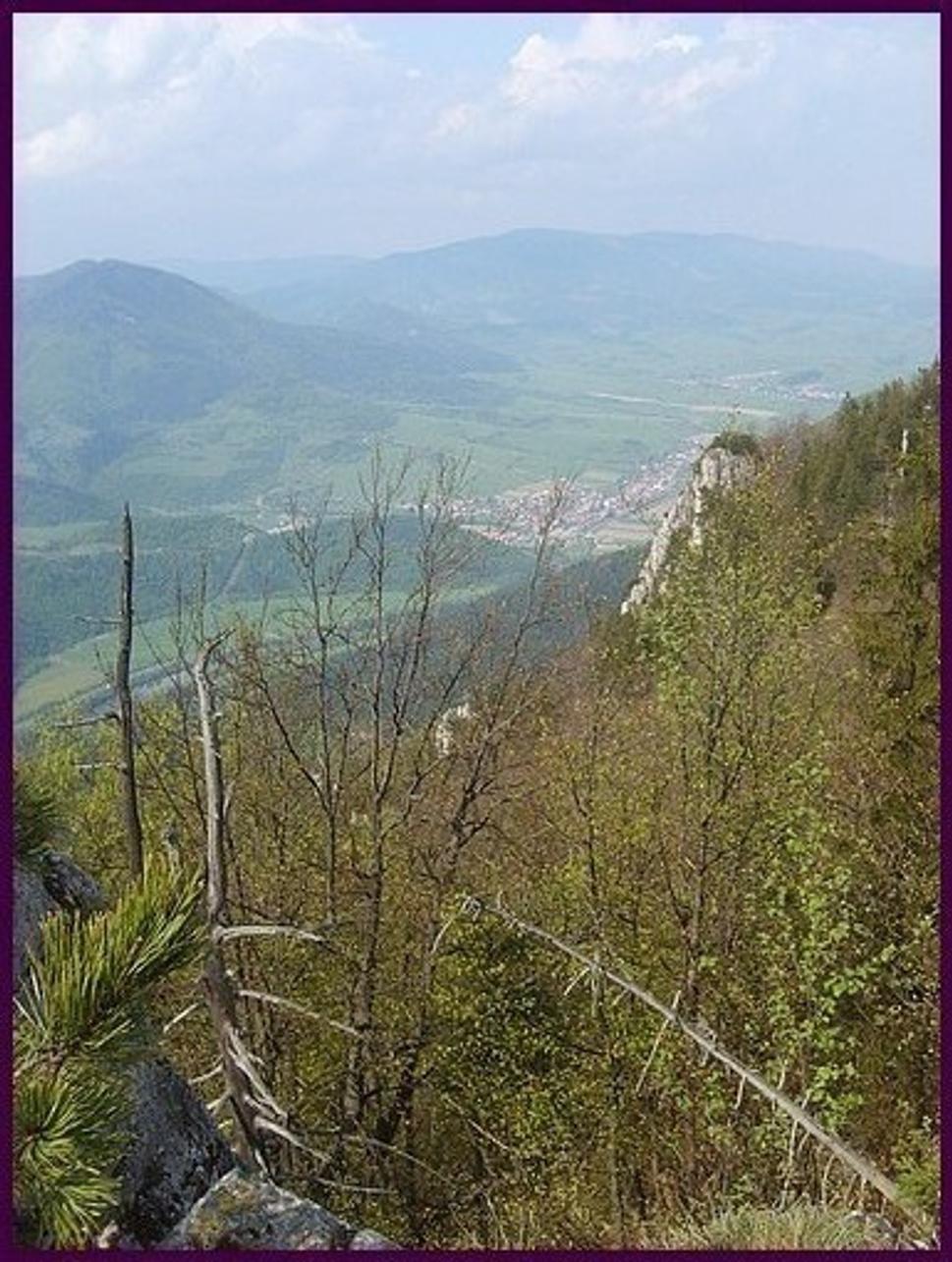 Obrázok blogu