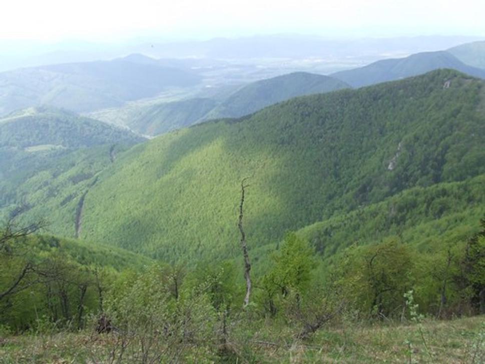 Obrázok blogu