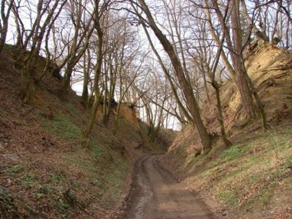 Obrázok blogu