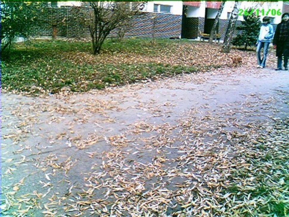 Obrázok blogu