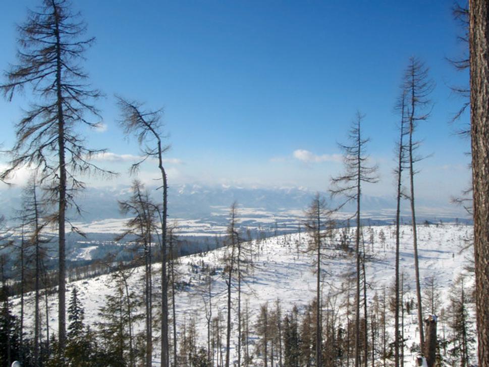 Výhľad na Nízke Tatry a rúbanisko
