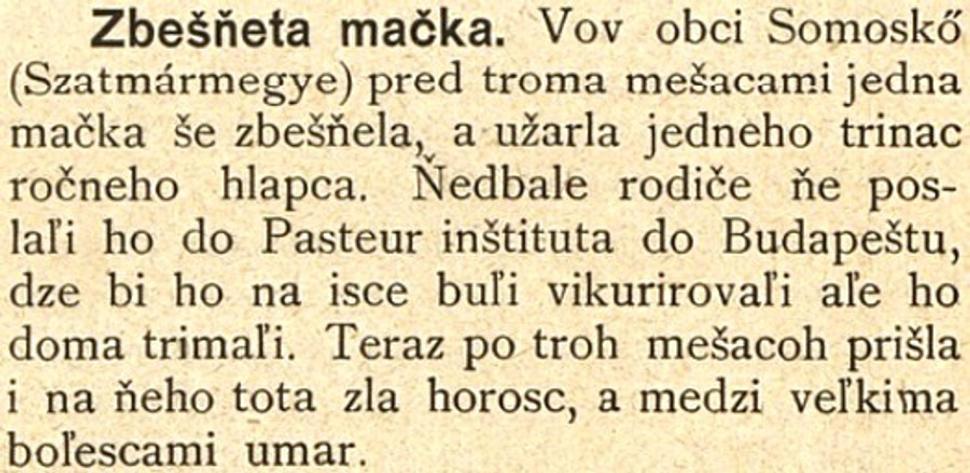 Obrázok blogu