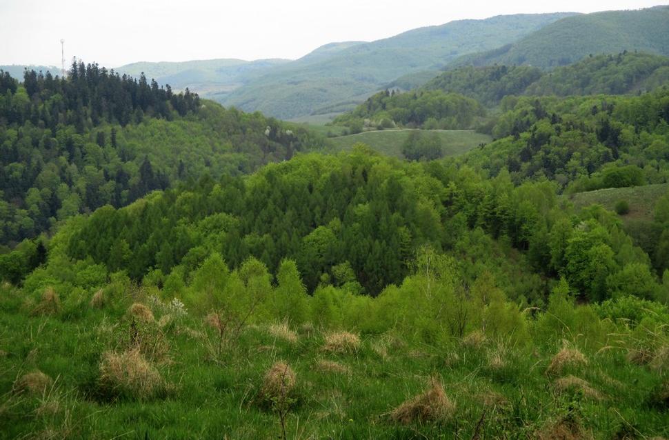 naozaj
