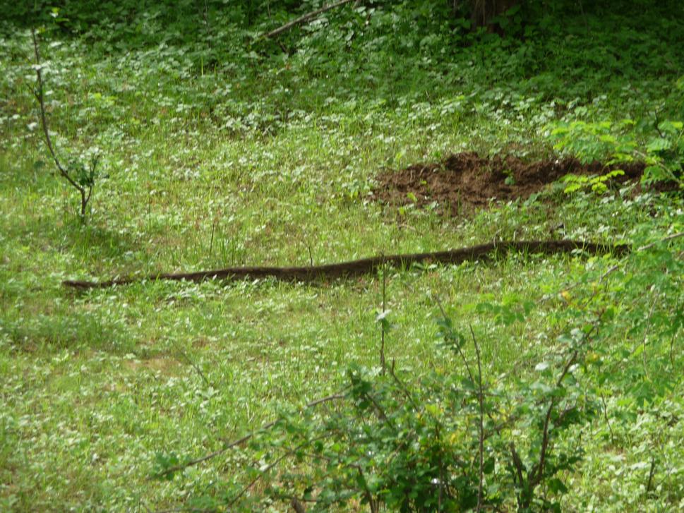 Python ....dosť zblízka :-)