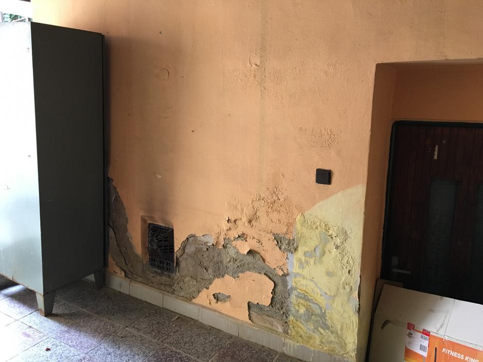 Pleseň na stene domu, kde boli ubytované postihnuté deti
