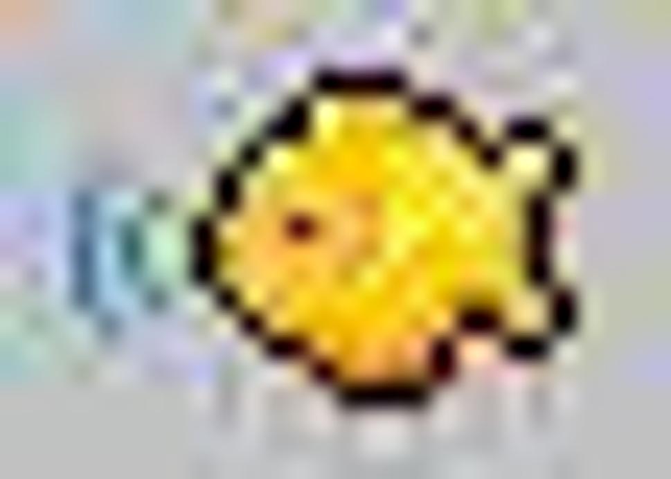 Babelfish