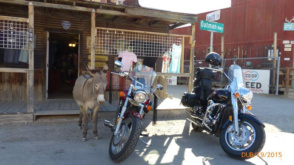 Niekto jazdí na harleyke a niekoho čaká vonku somárik